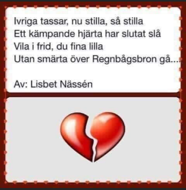 Minnesord